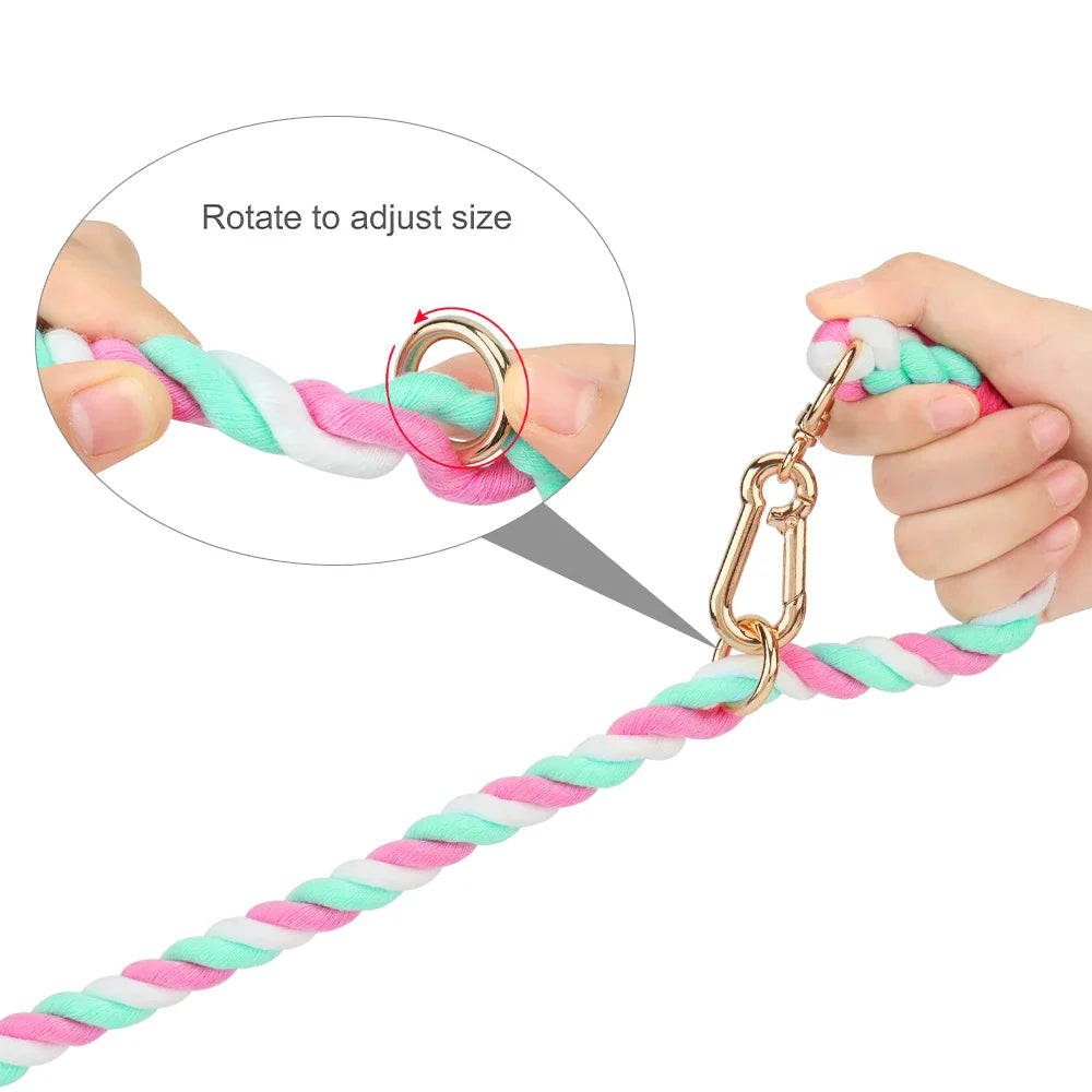 Pet Macaron Collar & Leash Set