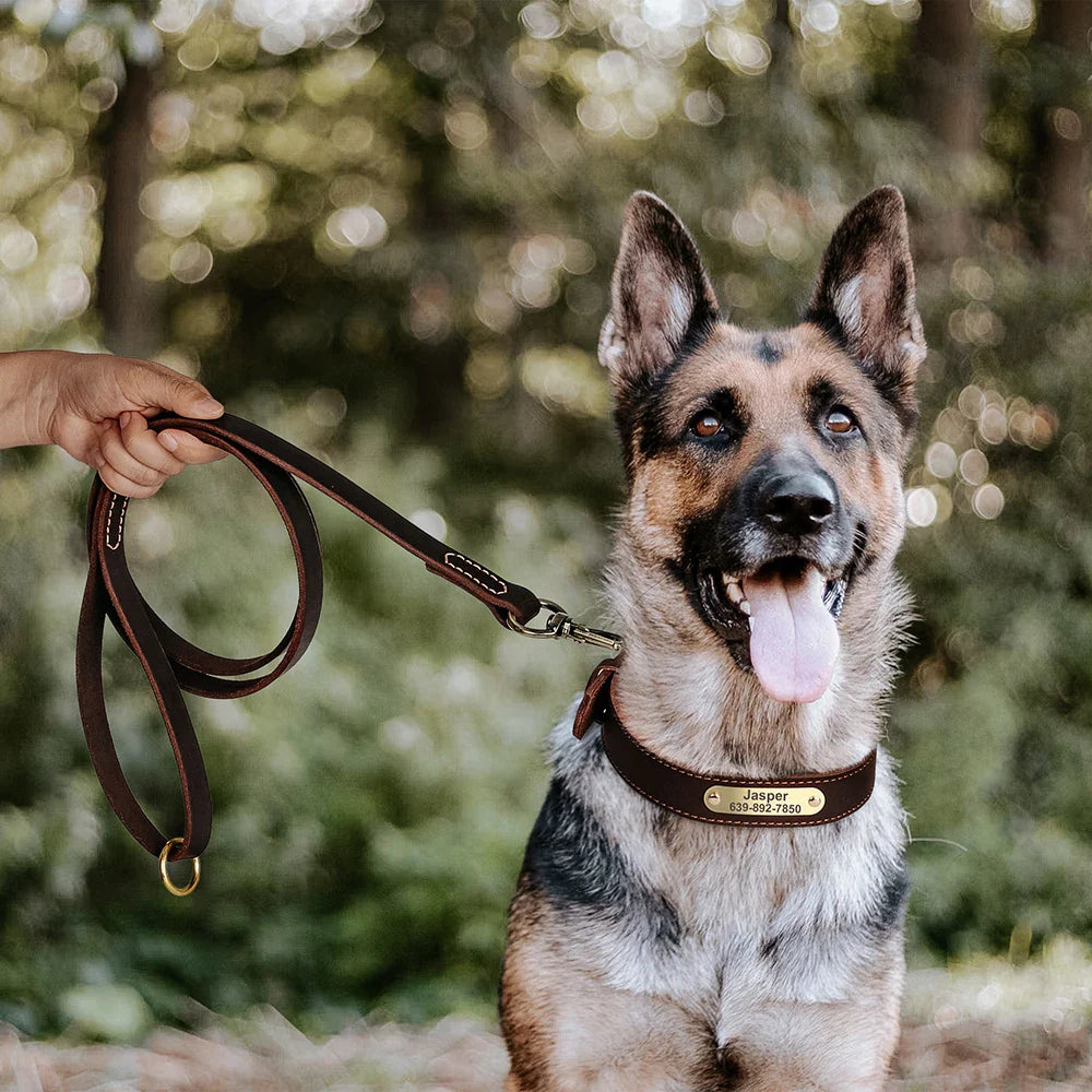 Dog Durable Genuine Leather Collar Leash Set