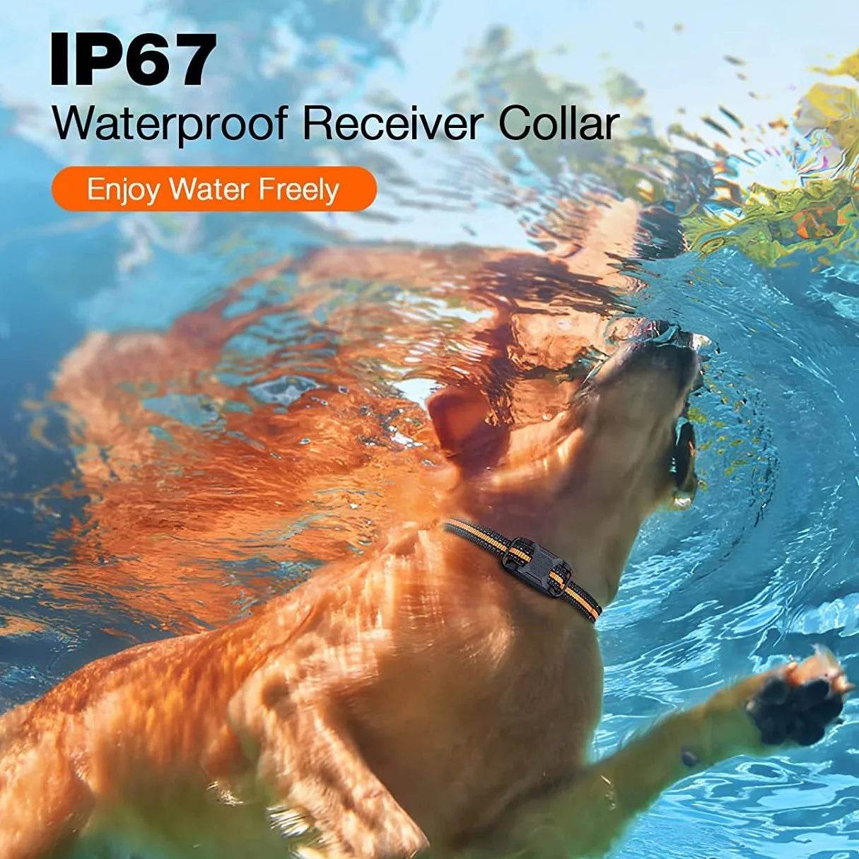 Dog Remote Training Waterproof Collar