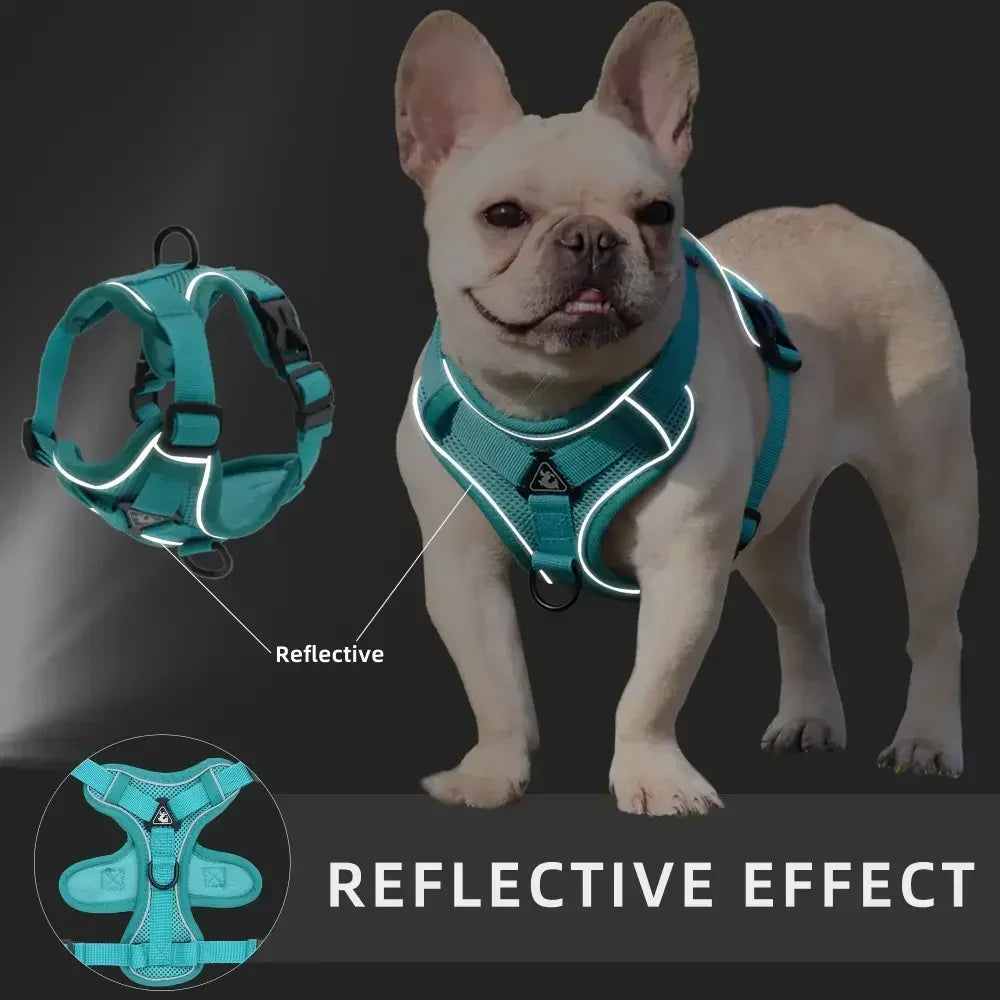 Dog Adjustable Chest Strap Harness Set