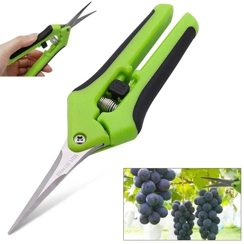 Gardening Hand Pruner 6.5 Inch Scissors