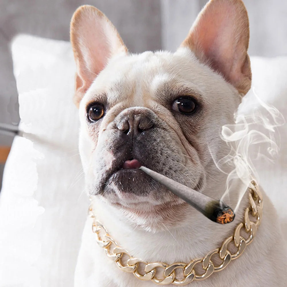 Dog Luxury Chain Metal Training Collar