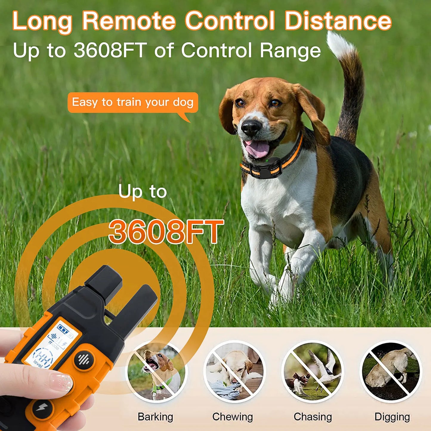 Dog Remote Training Waterproof Collar
