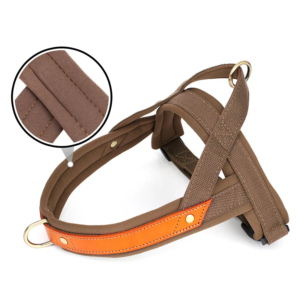 Dog Soft Padded Harnesses Vest