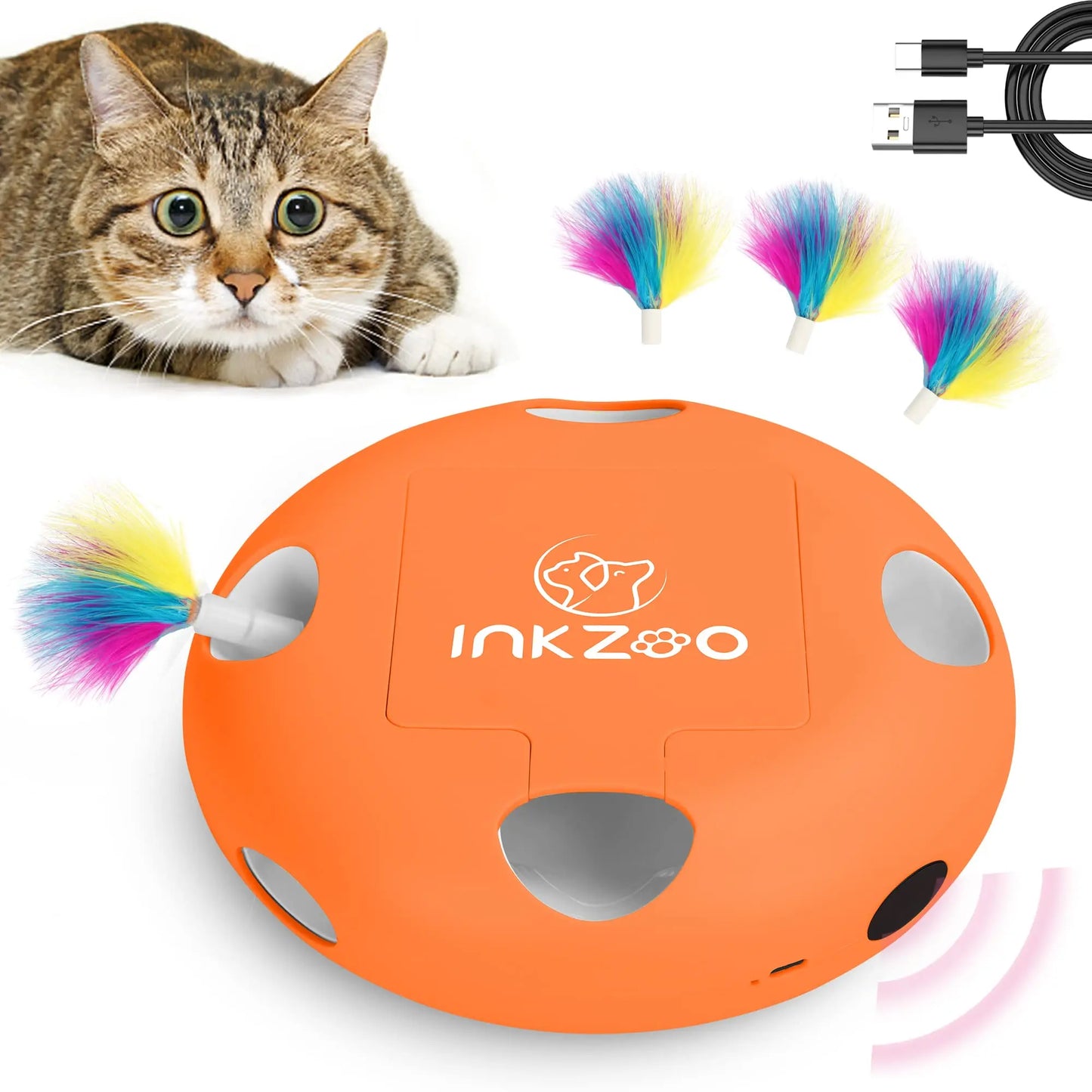Cat Smart Interactive Kitten Toy