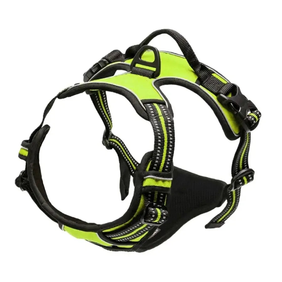 Dog Collars Harness Set