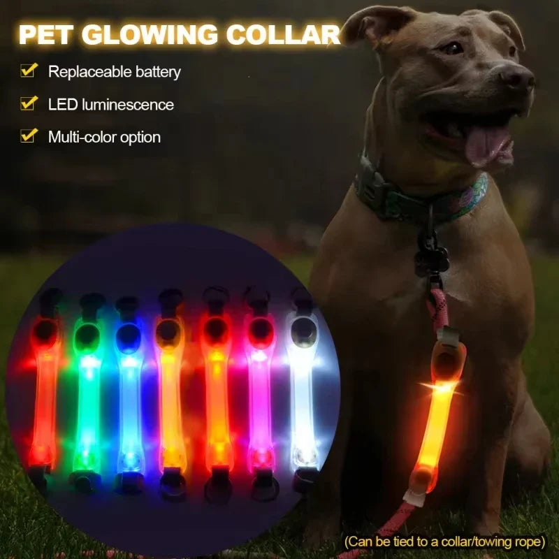Pet Light Anti-loss safety Traction Collar