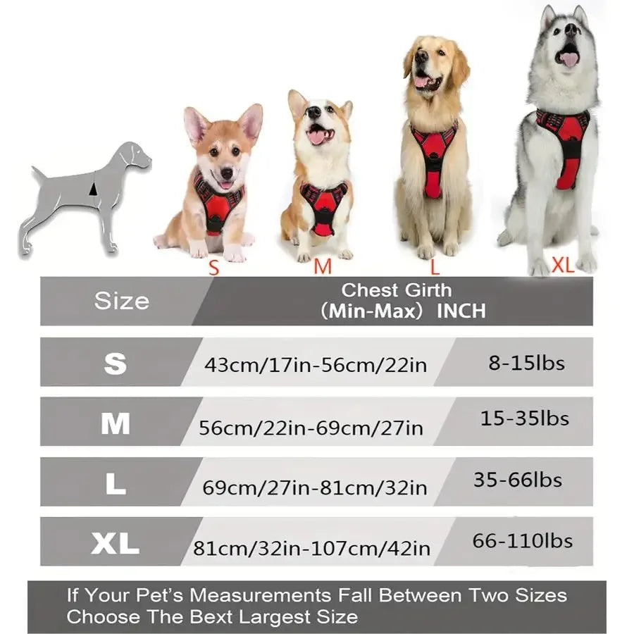 Dog Collars Harness Set