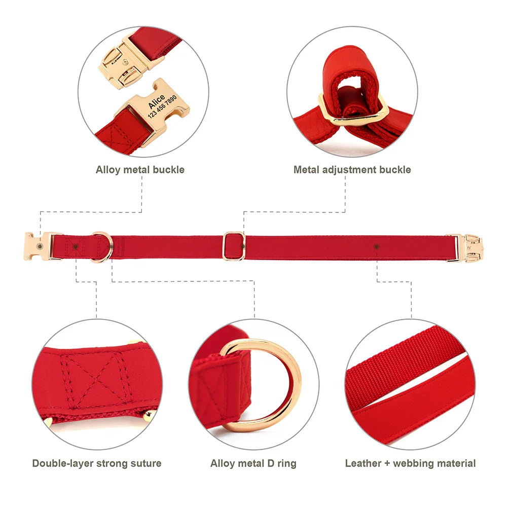 Dog Personalized Collar Harness Leash Set