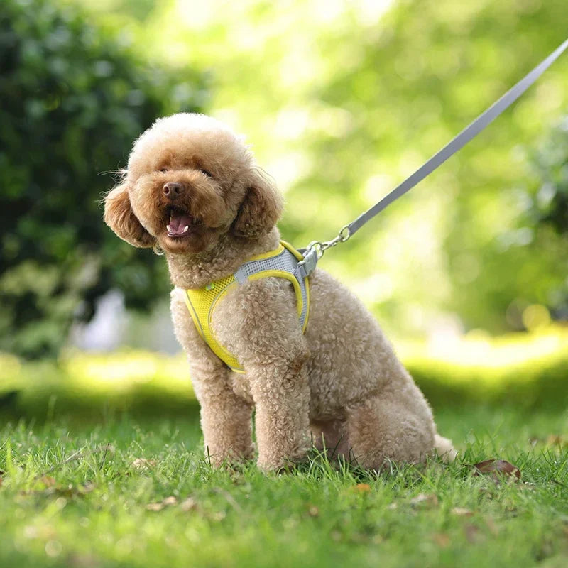 Dog Adjustable Harness Vest Set