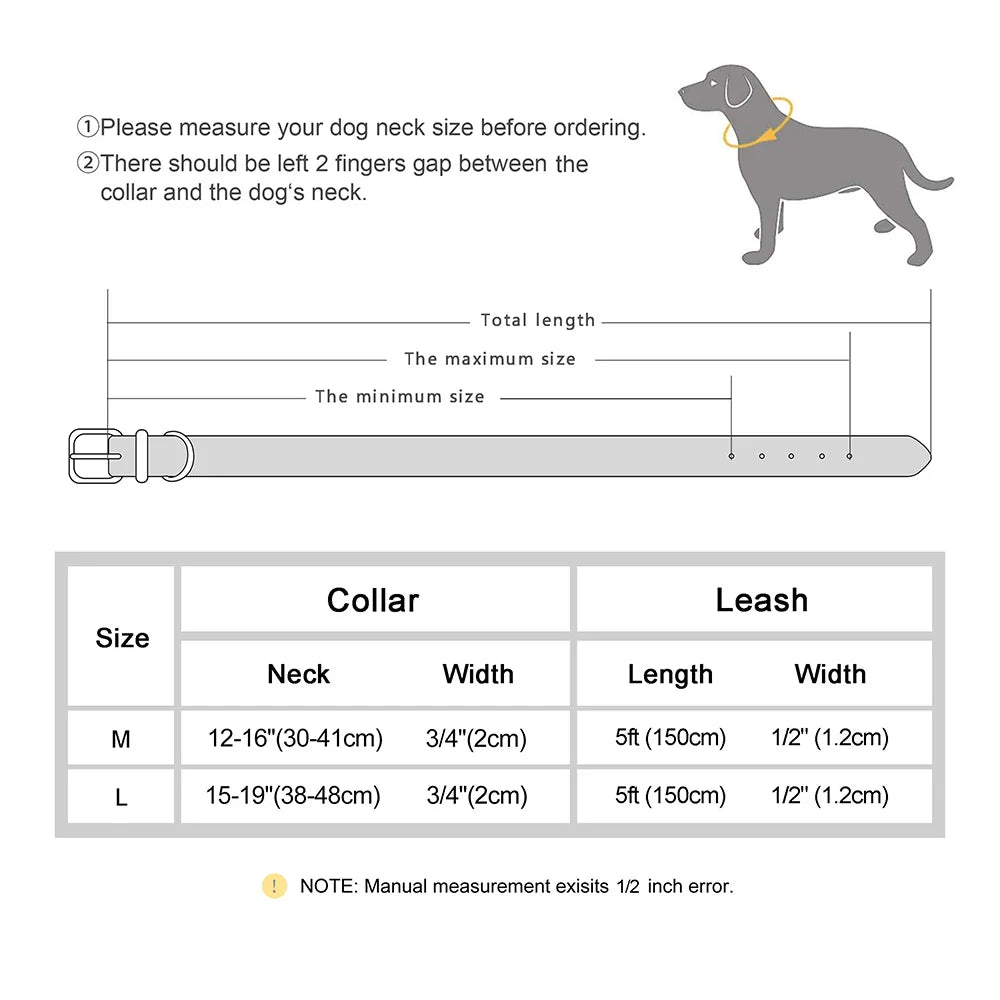 Dog Genuine Leather Collar Leash Set