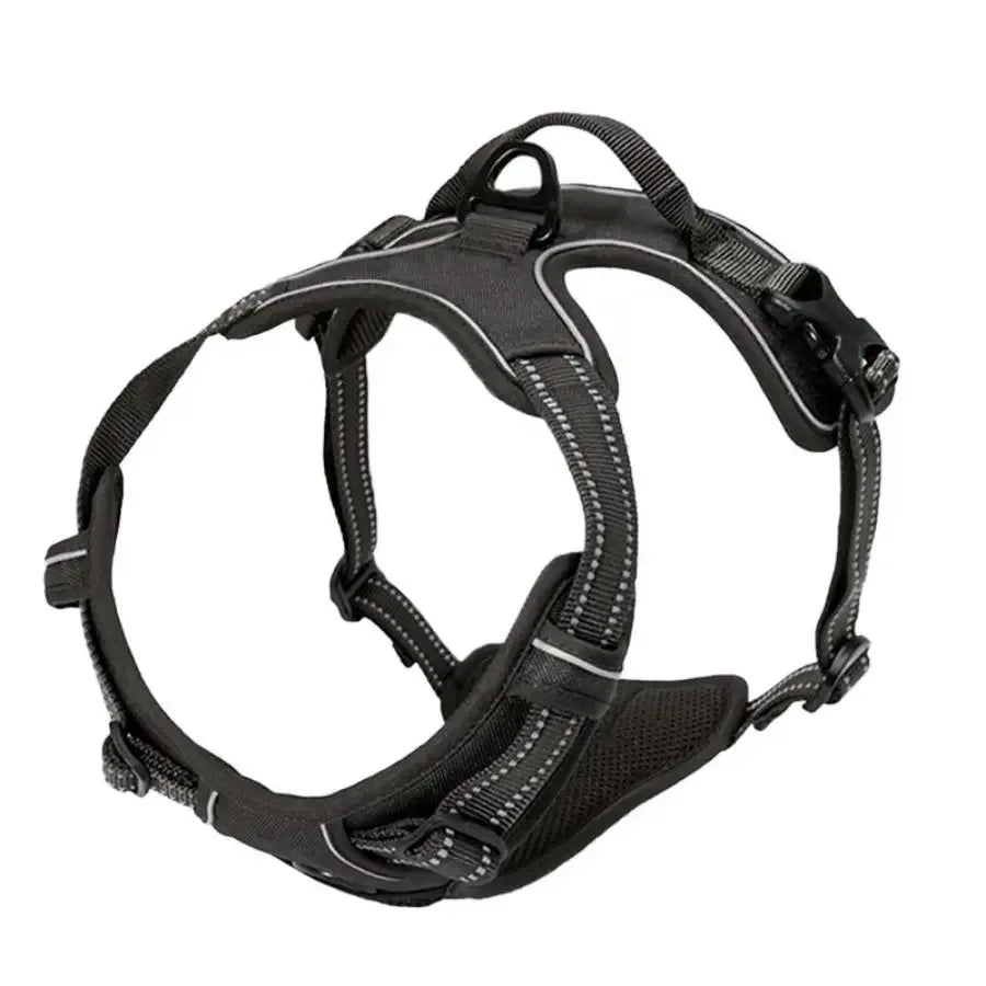 Dog Collars Harness Set