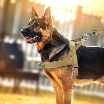 Dog Soft Padded Harnesses Vest