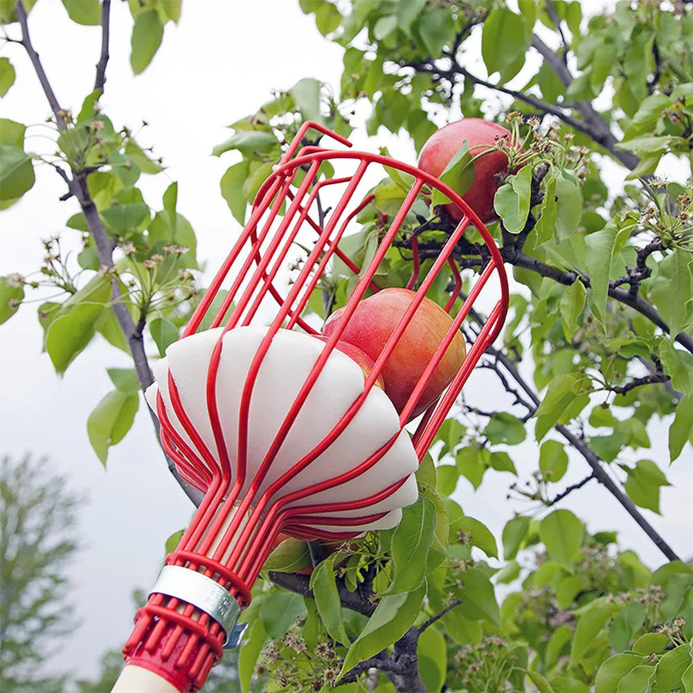 Detachable Farm Garden  Fruit Picker