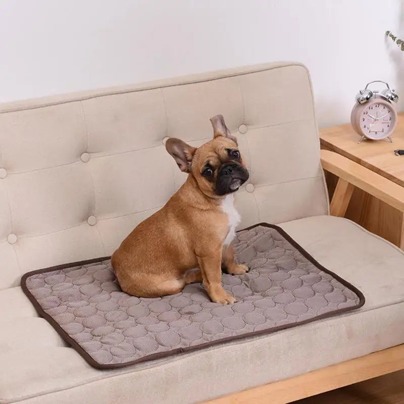 Dog Breathable Cooling Summer Pad Mat