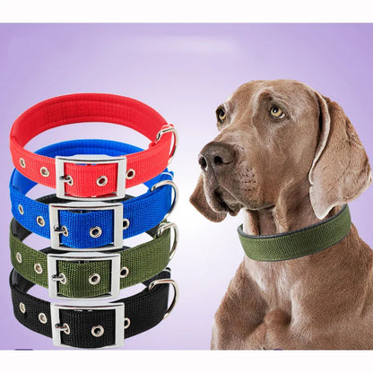 Dog Teddy Nylon Collar
