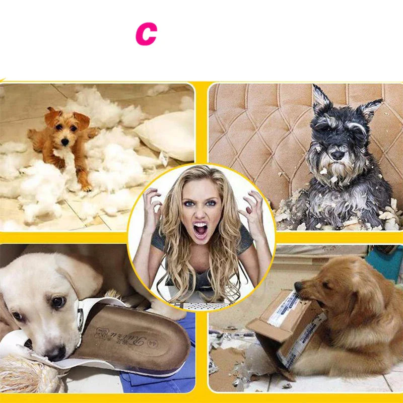 Pet  Funny Silicone Ball Chew Toy
