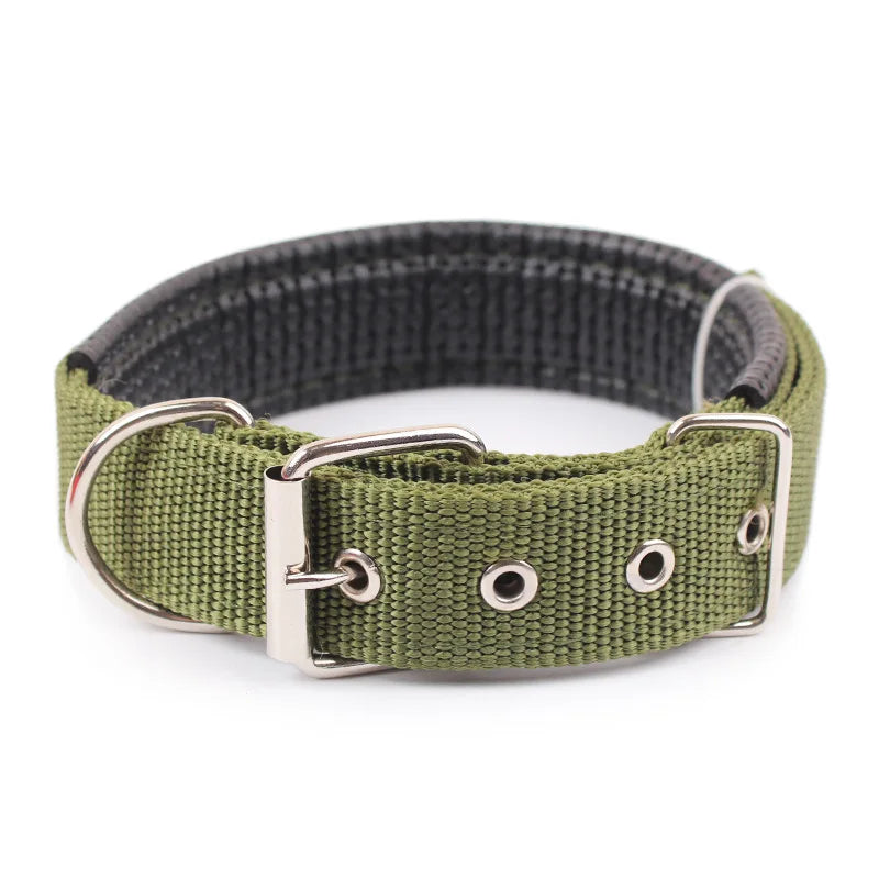 Dog Teddy Nylon Collar