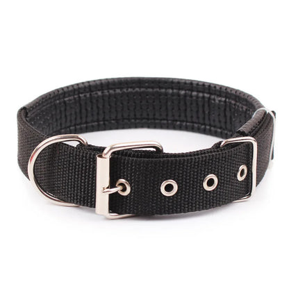 Dog Teddy Nylon Collar