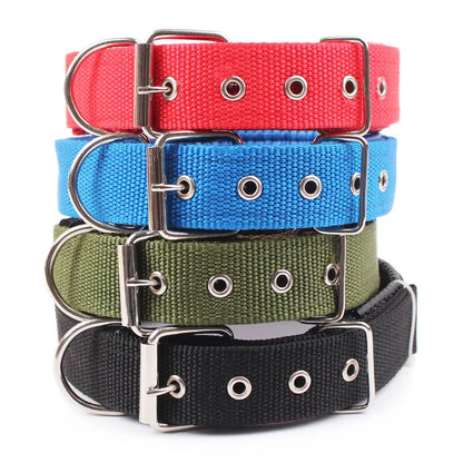 Dog Teddy Nylon Collar