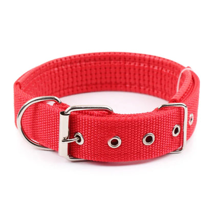 Dog Teddy Nylon Collar