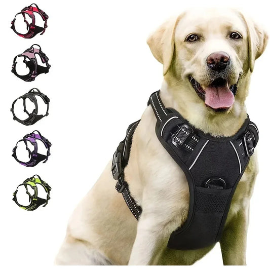 Dog Collars Harness Set