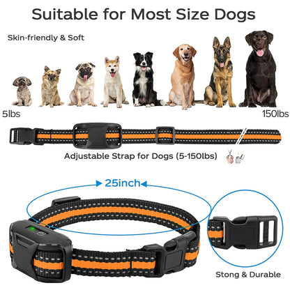 Dog Remote Training Waterproof Collar