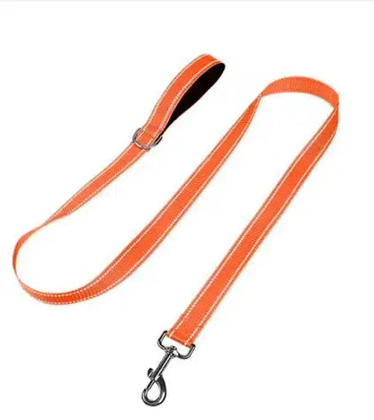 Dog Night Reflection Lead Strap