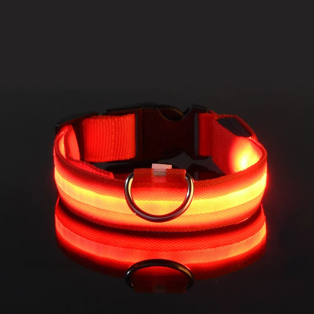 Dog Nylon LED Night Safety Flashing Collar