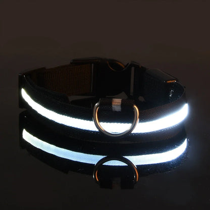 Dog Nylon LED Night Safety Flashing Collar