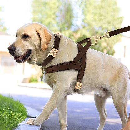 Dog Personalized Collar Harness Leash Set