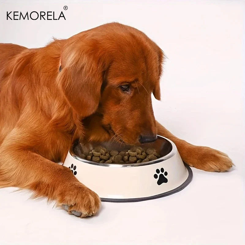 Pet Stainless Steel Food Storage Bowl