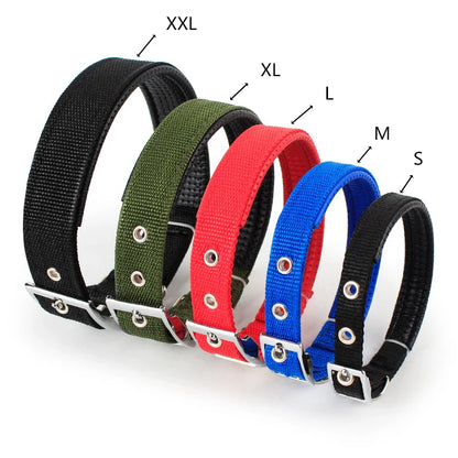Dog Teddy Nylon Collar