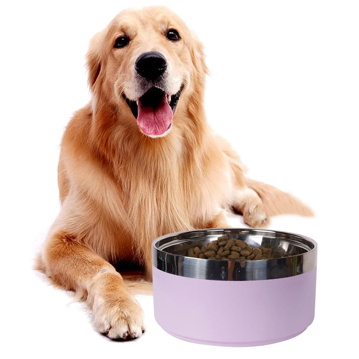 Pet Stainless Steel Fashionable Plain Bowl