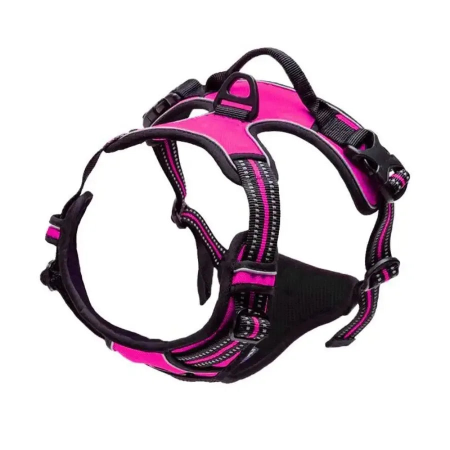 Dog Collars Harness Set