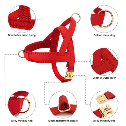 Dog Personalized Collar Harness Leash Set