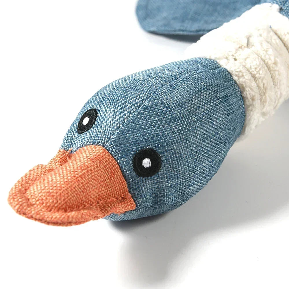 Dog Squeaky Wild Teeth Cleaning Toy