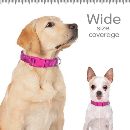 Dog Durable Reflective Nylon Collar