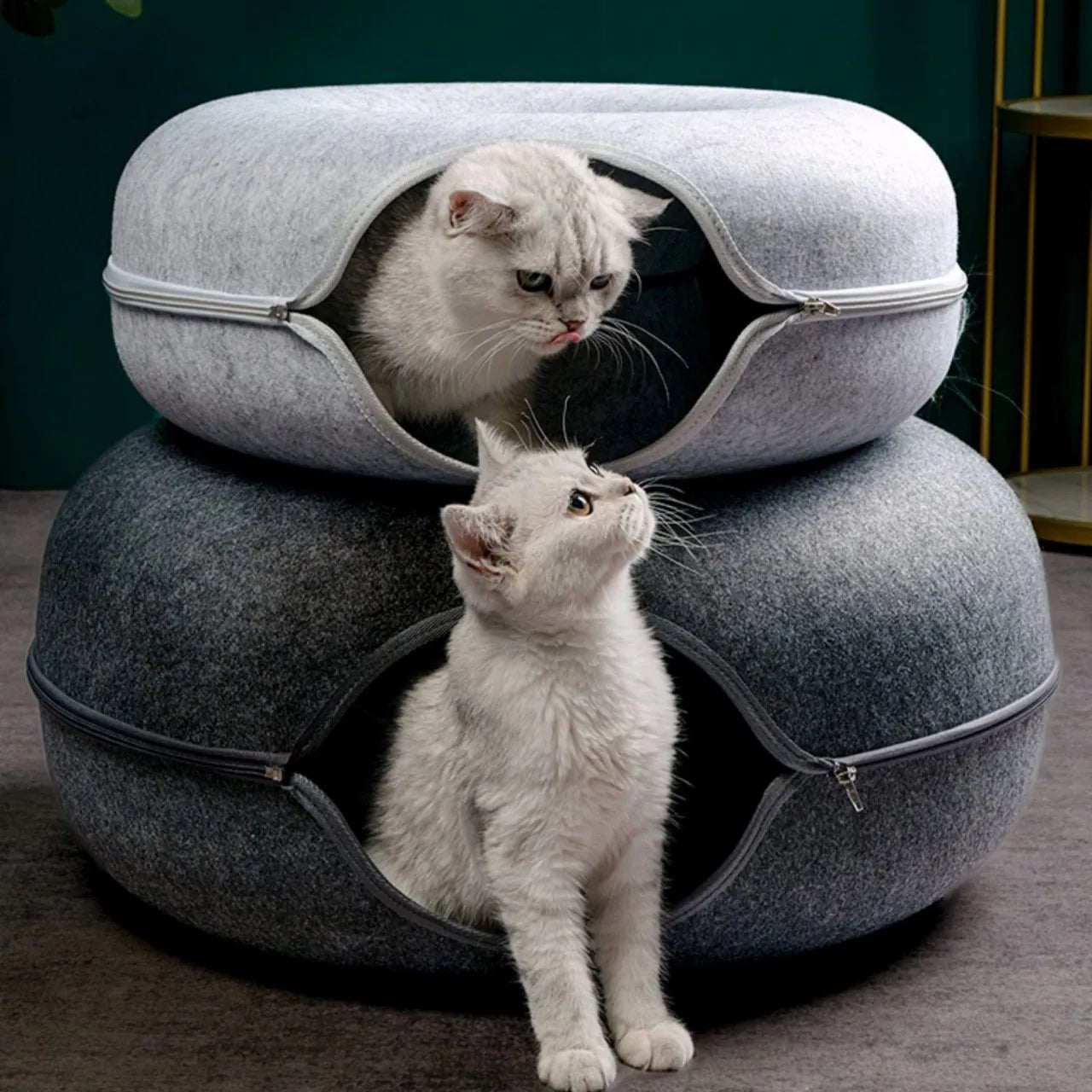 Cat Kitten Training Interactive Tunnel Donut Bed