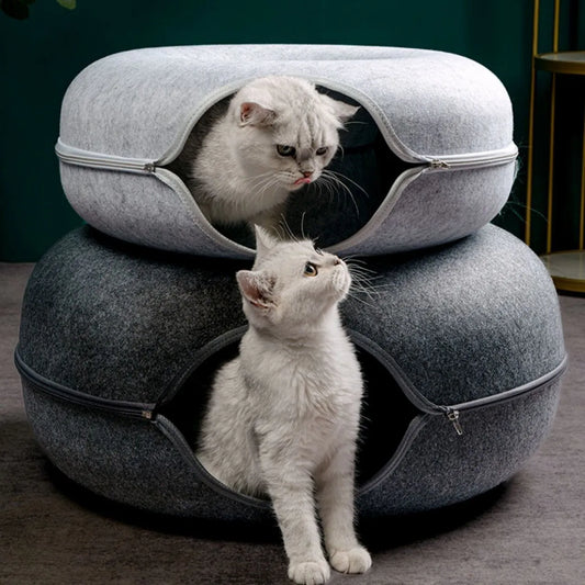 Cat Kitten Training Interactive Tunnel Donut Bed