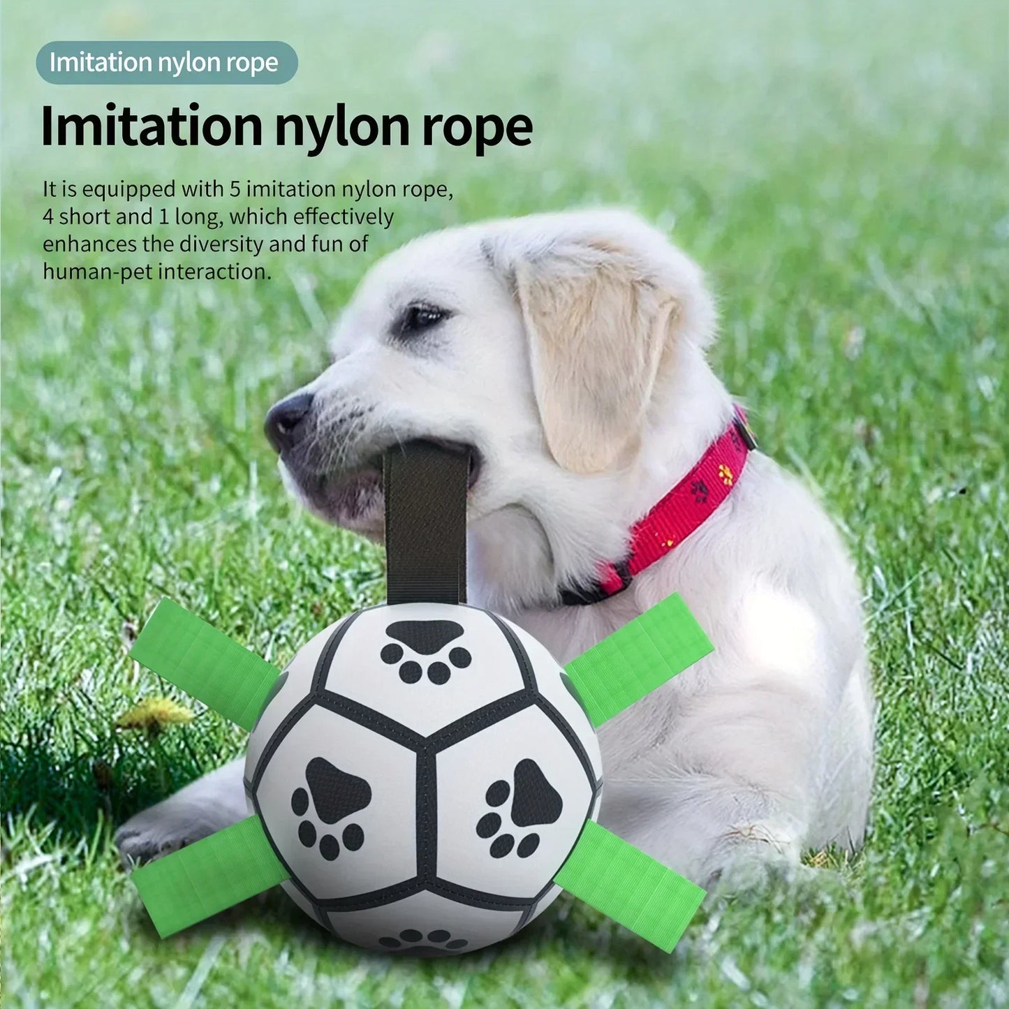 Sturdy Dog Ball Fetch Interactive Toy