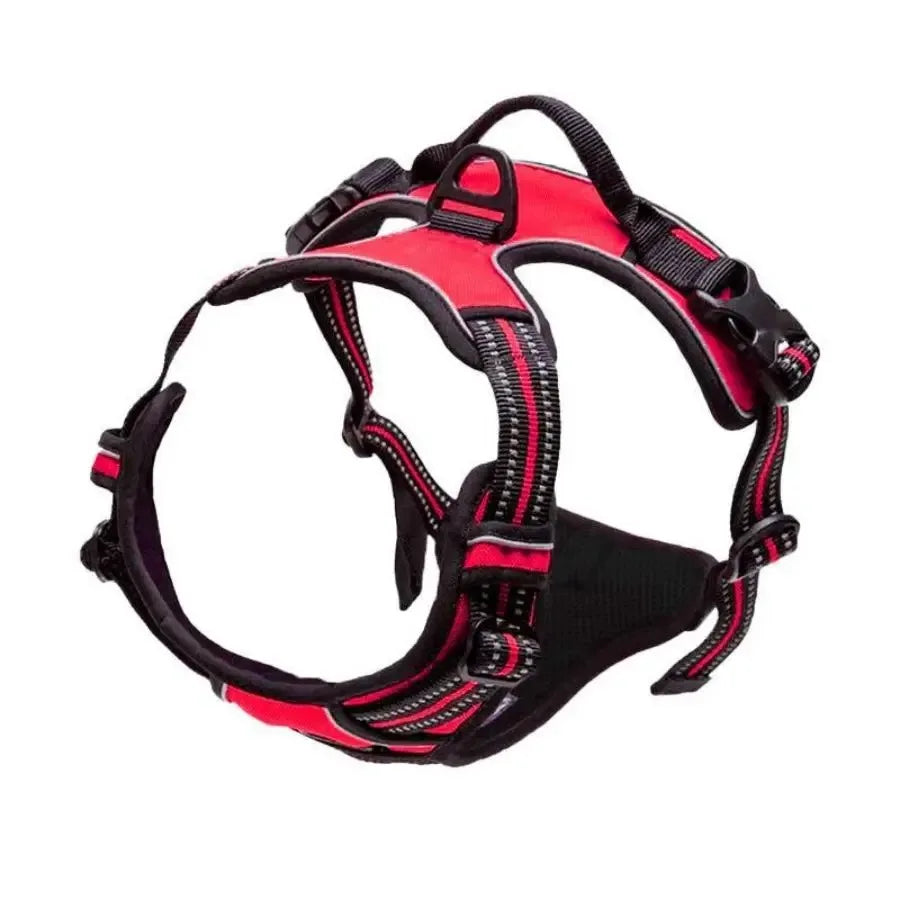 Dog Collars Harness Set
