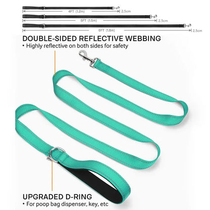 Dog Night Reflection Lead Strap