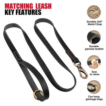 Dog Durable Genuine Leather Collar Leash Set