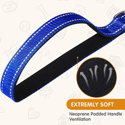 Dog Night Reflection Lead Strap