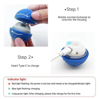 Dog Automatic Moving Bouncing Rolling Ball Toy