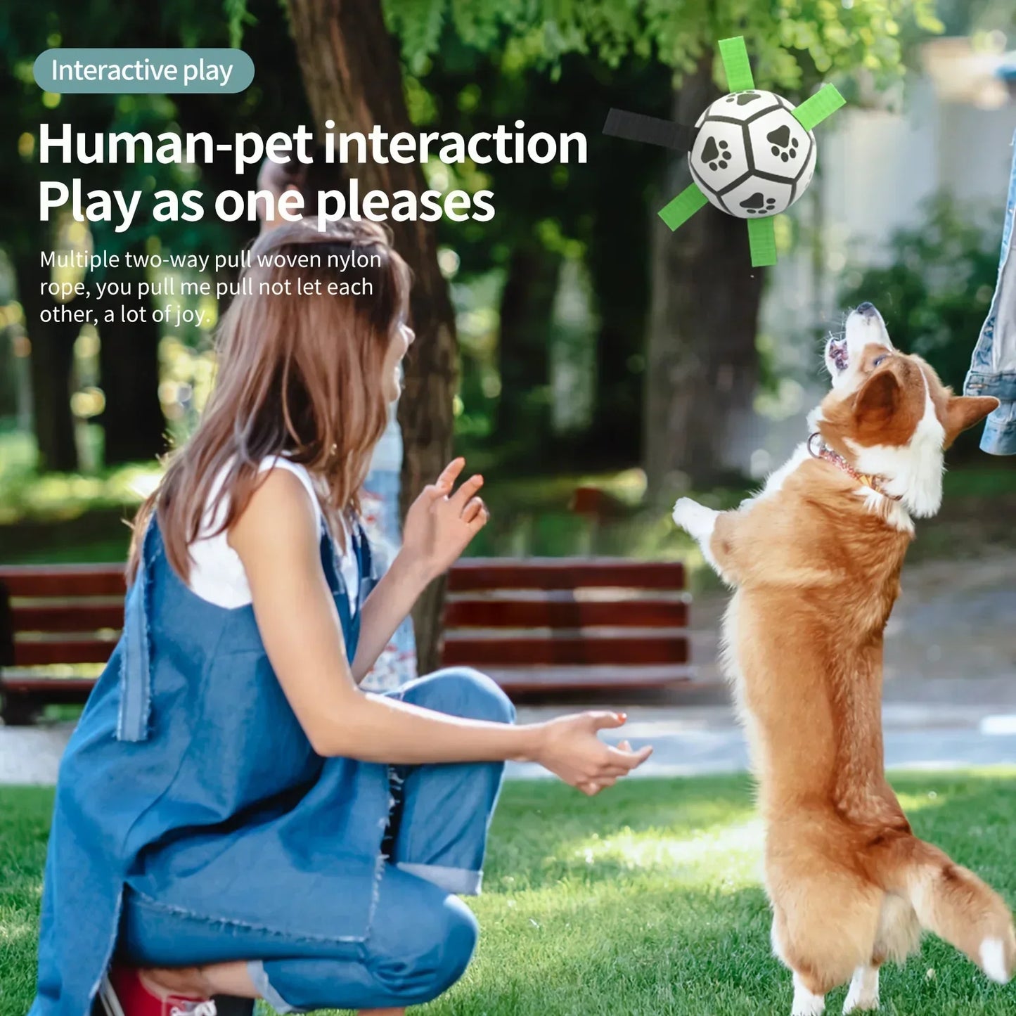 Sturdy Dog Ball Fetch Interactive Toy