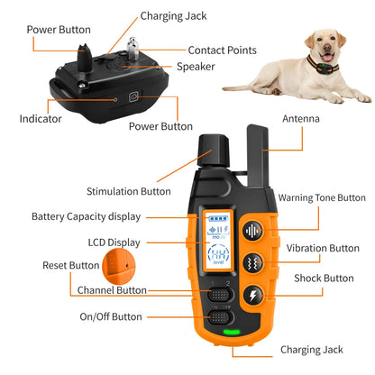 Dog Remote Training Waterproof Collar