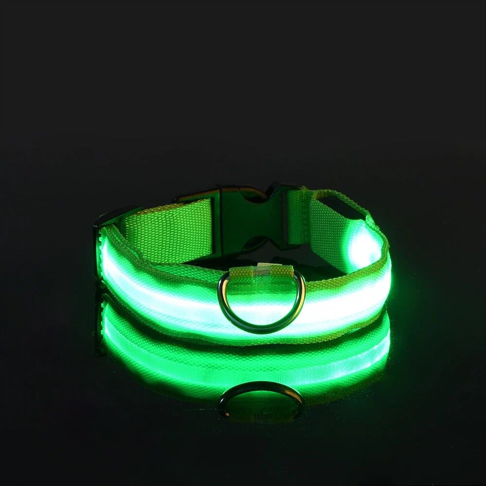 Dog Nylon LED Night Safety Flashing Collar