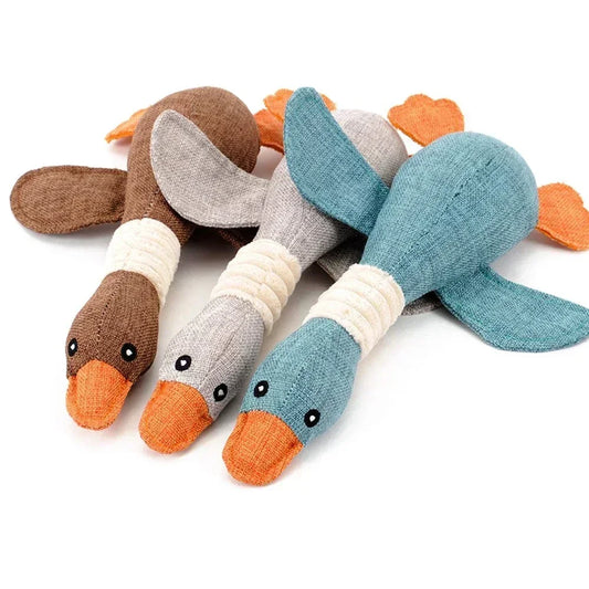 Dog Squeaky Wild Teeth Cleaning Toy